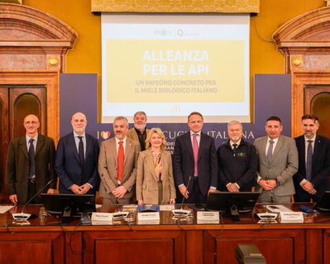 Da Tornareccio al MASAF, Sigismondi (FdI): l’eccellenza del miele abruzzese protagonista dell’ 'Alleanza per le Api'