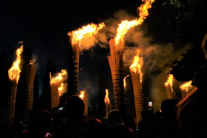 Farchie Fara FIliorum Petri