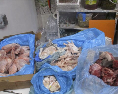 Sequestrati 40 chili di carne e oltre 500 prodotti irregolari in un mini market di piazza Santa Caterina