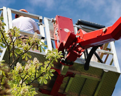 potature verde montesilvano