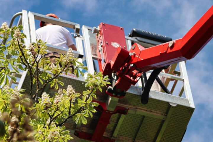 potature verde montesilvano