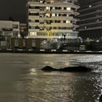 Maltempo in Abruzzo, il Comune di Pescara ha attivato il COC