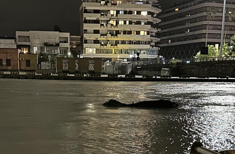 Maltempo in Abruzzo, il Comune di Pescara ha attivato il COC