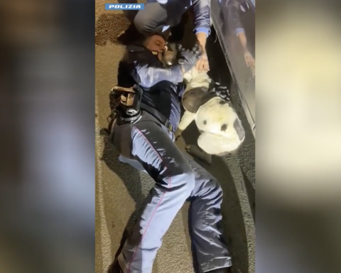 Gli agenti della Polizia di Stato liberano un cane a Pescara