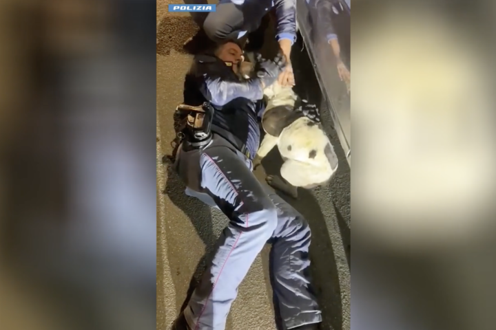 Gli agenti della Polizia di Stato liberano un cane a Pescara