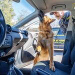 GdiF L’AQUILA: TRATTO IN ARRESTO UN PLURIPREGIUDICATO CON OLTRE 35 GRAMMI DI COCAINA