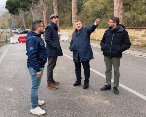 Scordella e Sericola