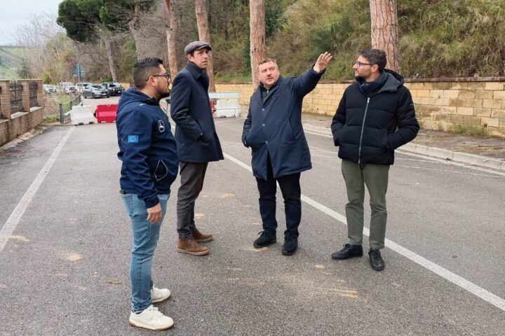 Scordella e Sericola