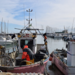 Pesca: Abruzzo, 300mila euro alla piccola pesca costiera