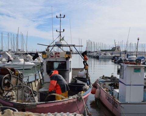 Pesca: Abruzzo, 300mila euro alla piccola pesca costiera