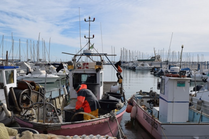Pesca: Abruzzo, 300mila euro alla piccola pesca costiera