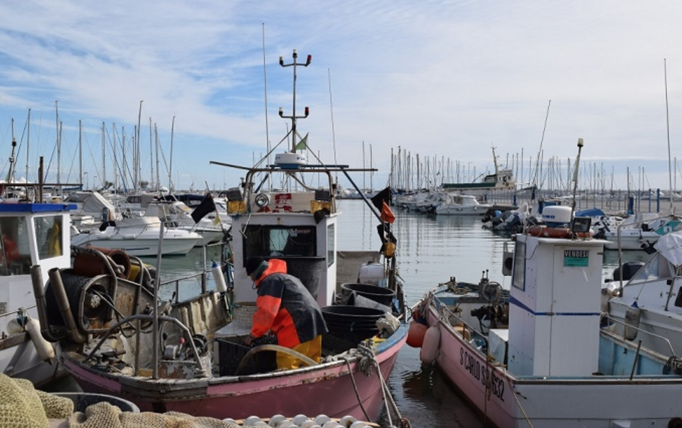 Pesca: Abruzzo, 300mila euro alla piccola pesca costiera