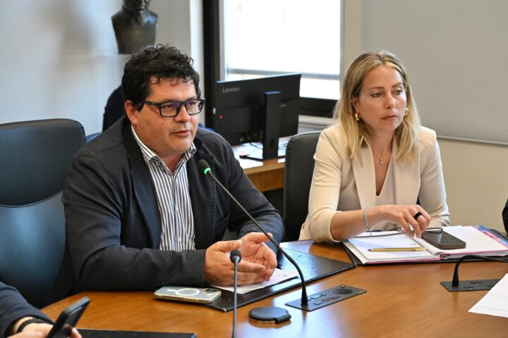 Commissione di vigilanza presieduta da Sandro Mariani