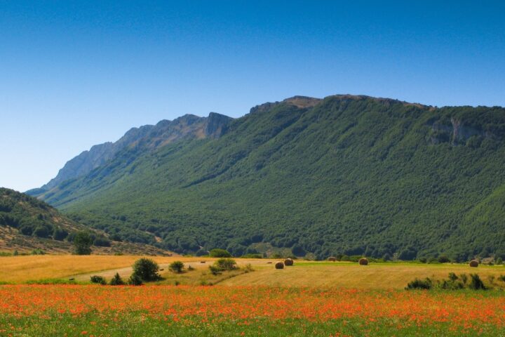 Parco Sirente Velino