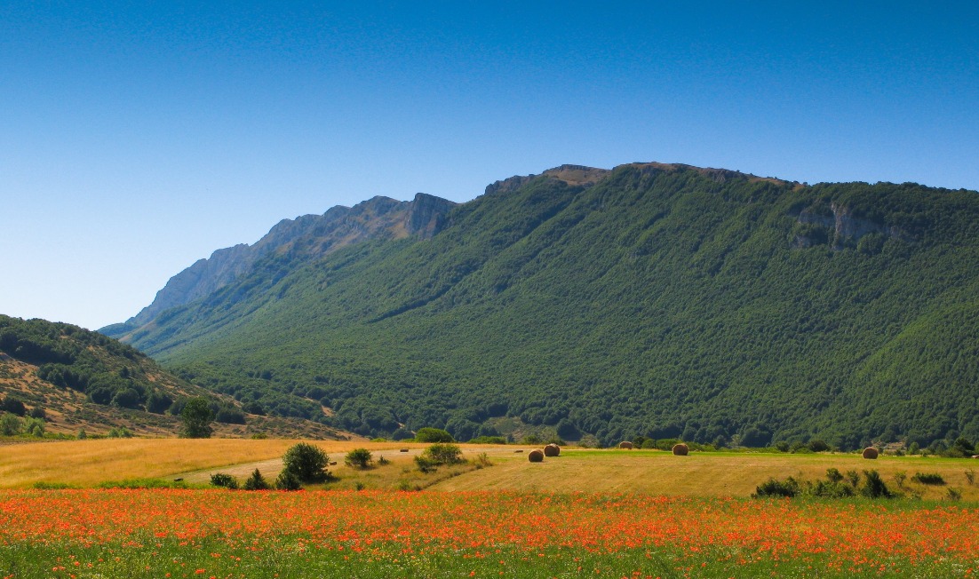 Parco Sirente Velino