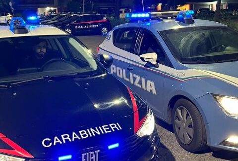 polizia e carabinieri