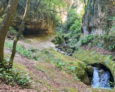 Cammino Grandi Abbazie