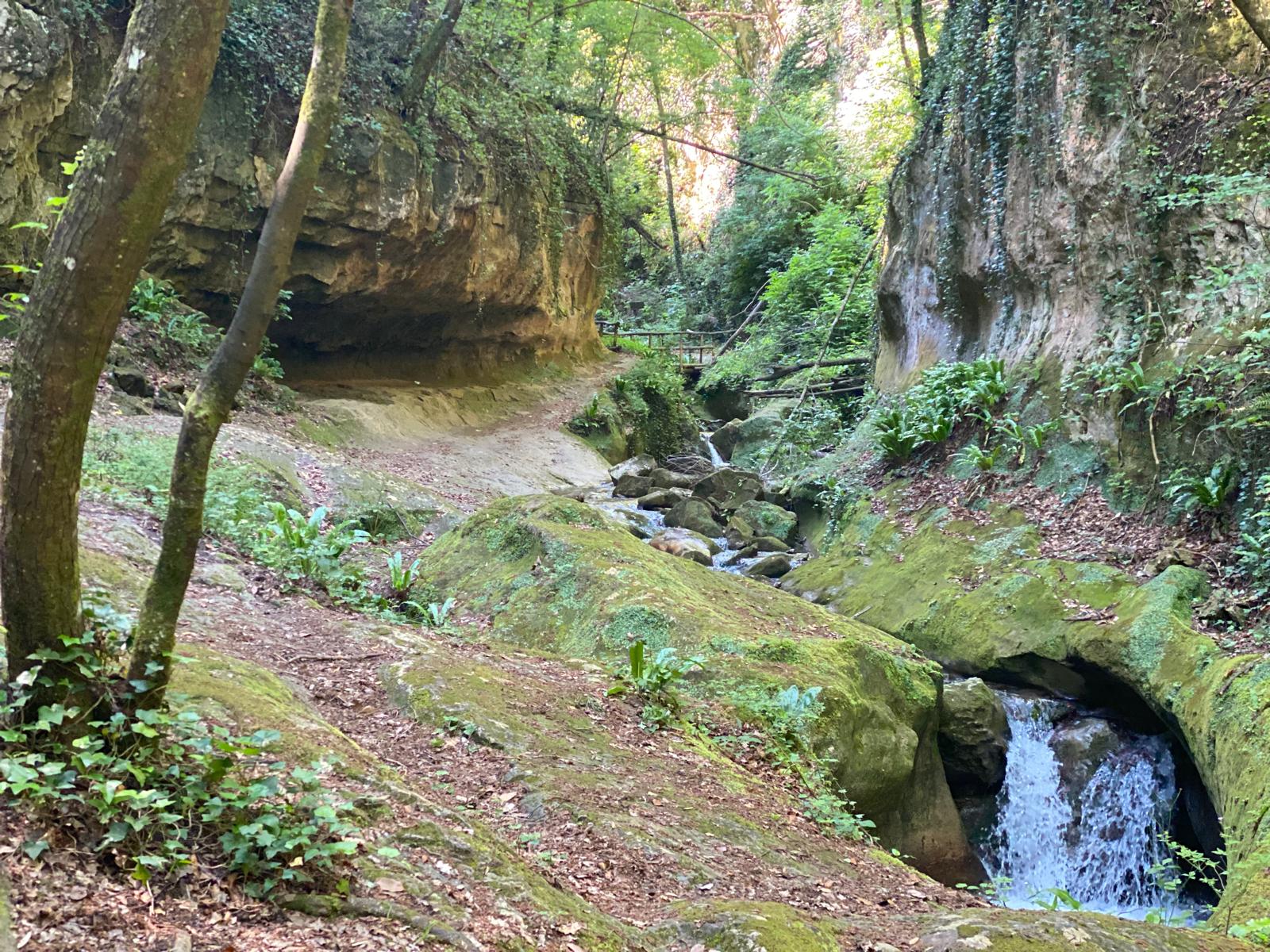 Cammino Grandi Abbazie