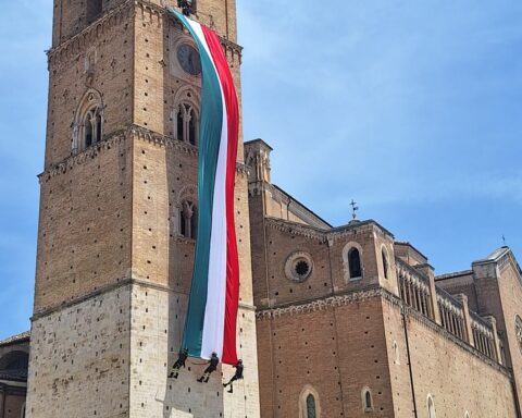 tricolore