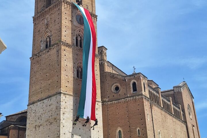 tricolore