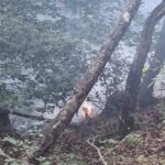 Incendio a Collelongo