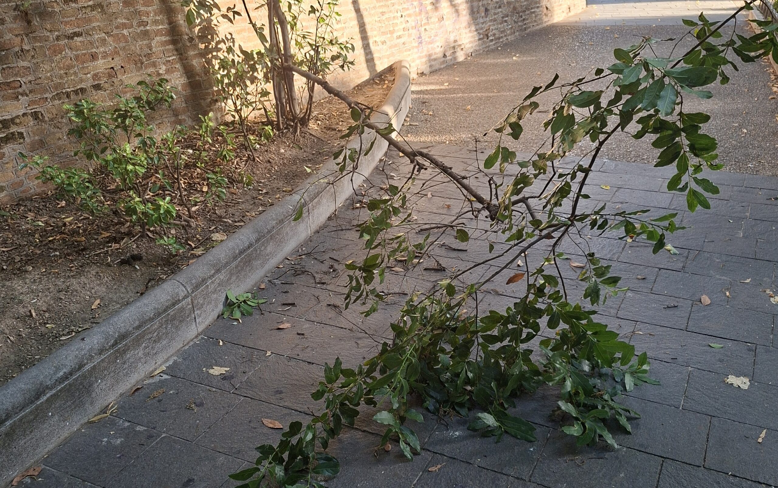 villaChieti_vandalismo