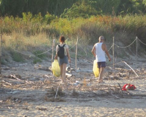 La Riserva del Borsacchio presa dal salto a Ferragosto