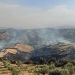 L'INCENDIO NELLA ZONA DEI CALANCHI