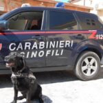 Carabinieri Avezzano Cinofili