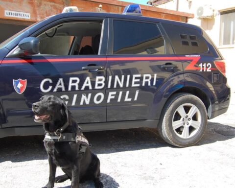 Carabinieri Avezzano Cinofili