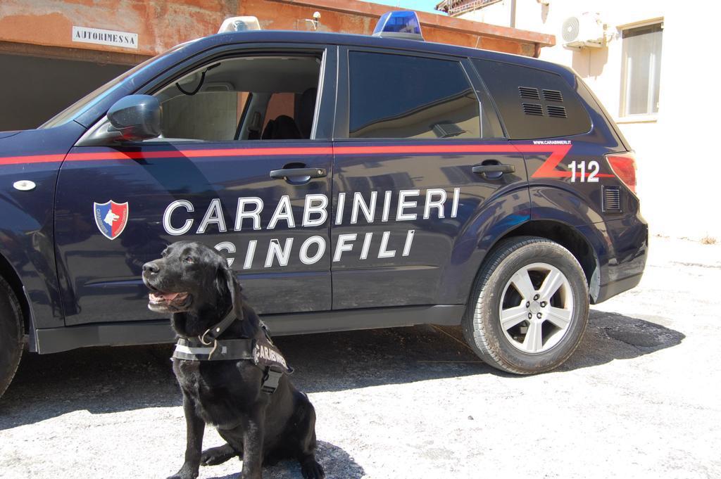 Carabinieri Avezzano Cinofili