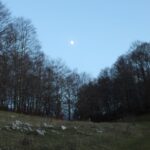 Una notte da Gufi