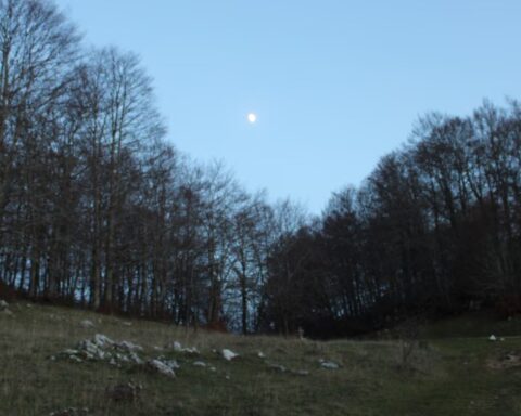 Una notte da Gufi