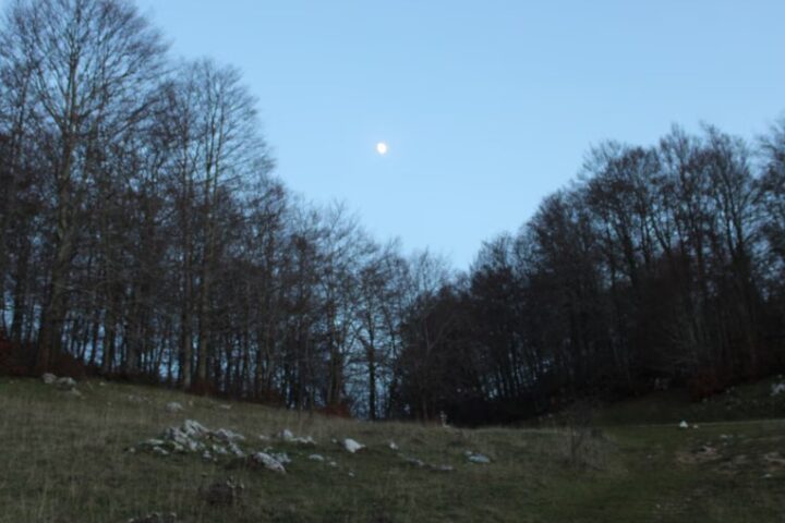 Una notte da Gufi