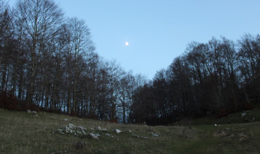 Una notte da Gufi