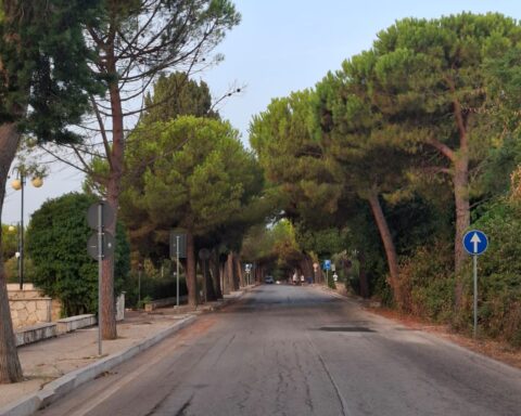 Il viale dell'Abbazia di fossacesia