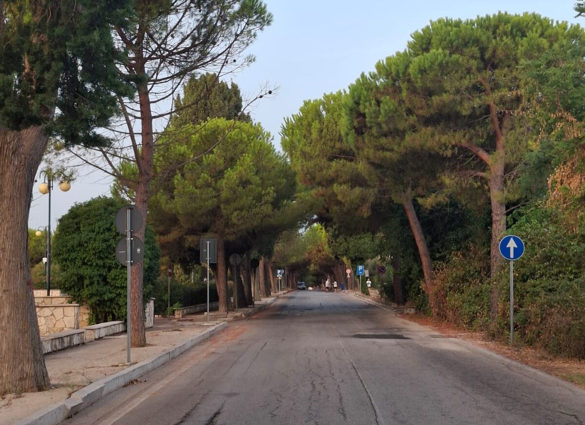 Il viale dell'Abbazia di fossacesia