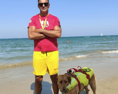 il bagnino del lido 186 di Pescara con il cane Shiba