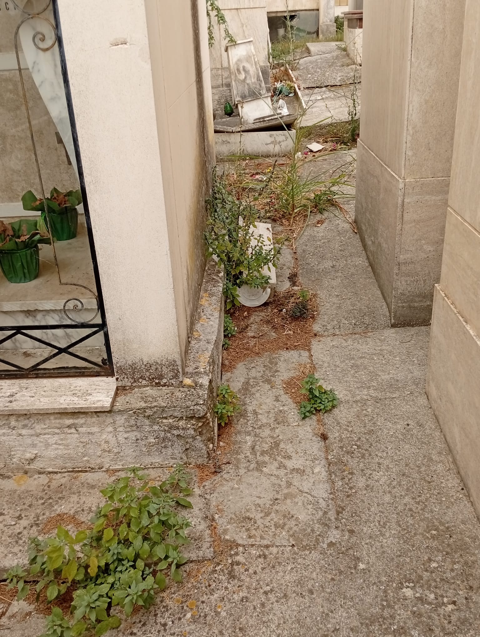 cimitero_Chieti