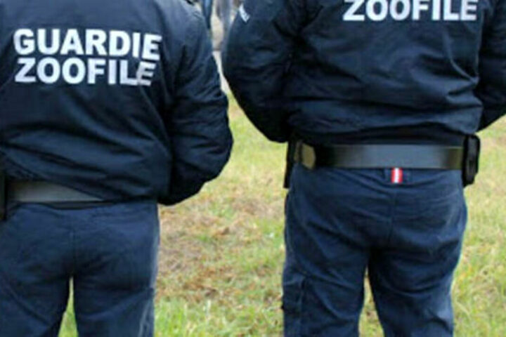 guardie zoofile a fossacesia