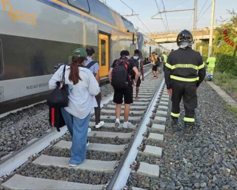 Treno investe mucche e deraglia vicino Roma, nessun ferito