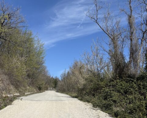 Provinciale poligono di tiro